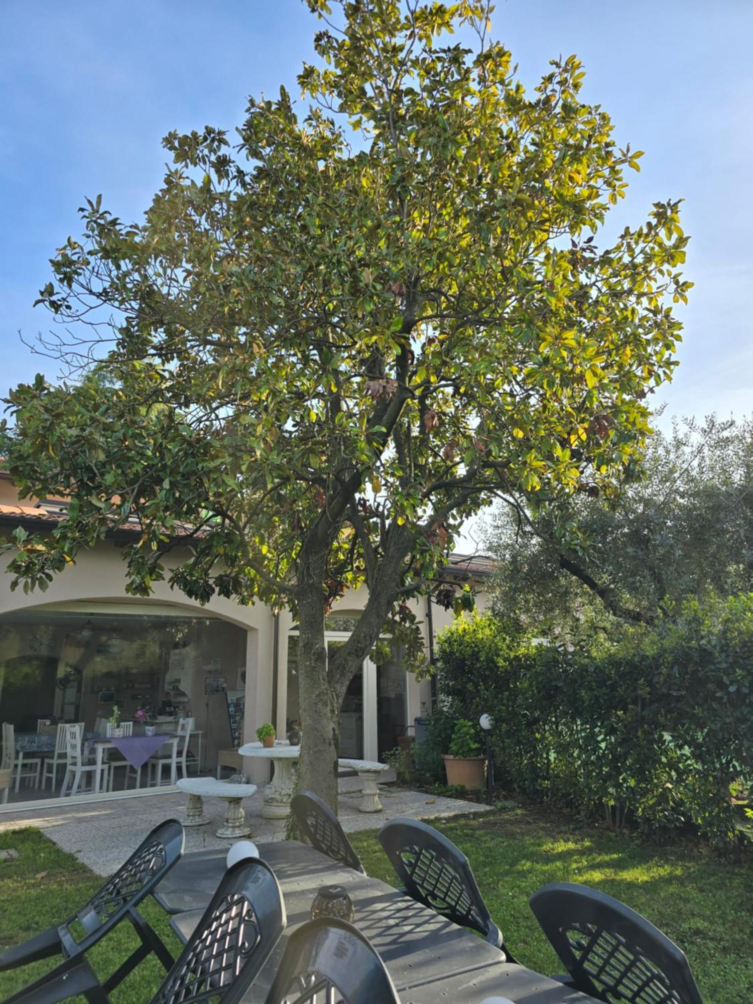Villa Indipendente A Pochi Passi Dal Lago San Felice del Benaco Exterior foto