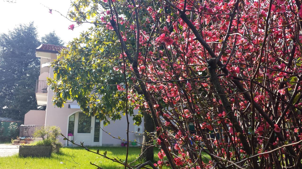 Villa Indipendente A Pochi Passi Dal Lago San Felice del Benaco Exterior foto