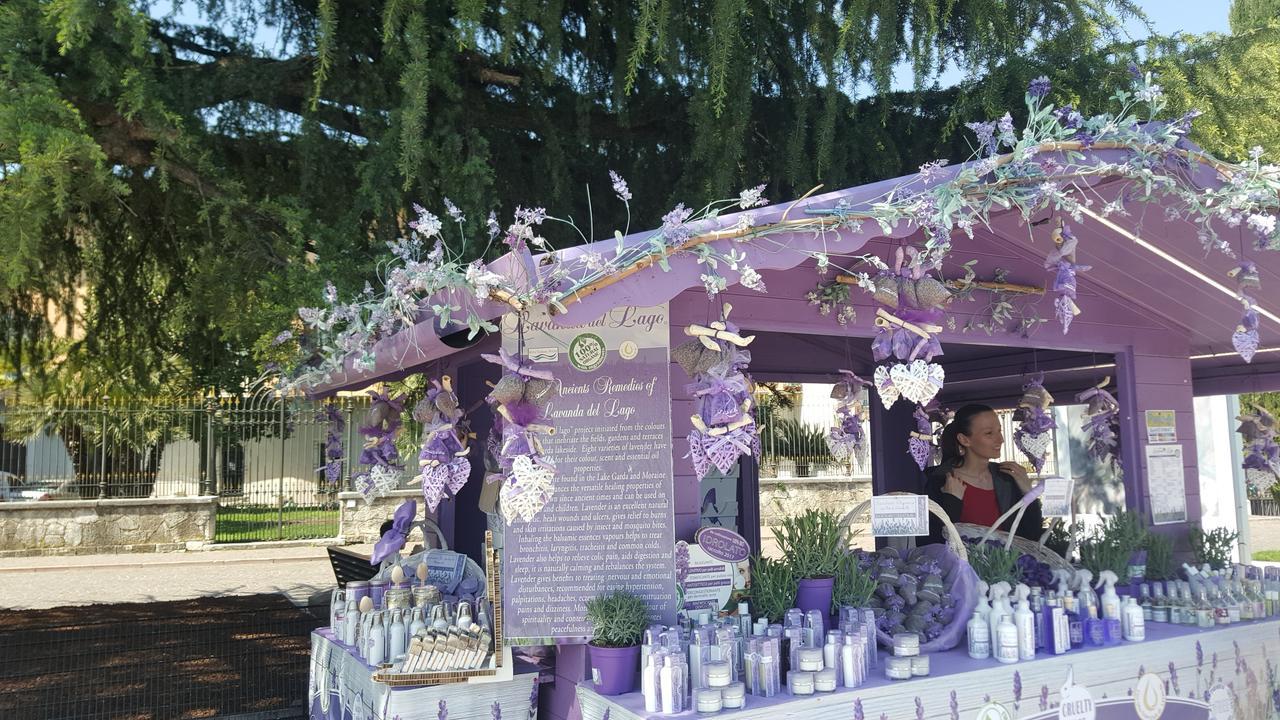 Villa Indipendente A Pochi Passi Dal Lago San Felice del Benaco Exterior foto